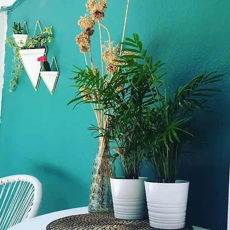 Babushka Олимпиада