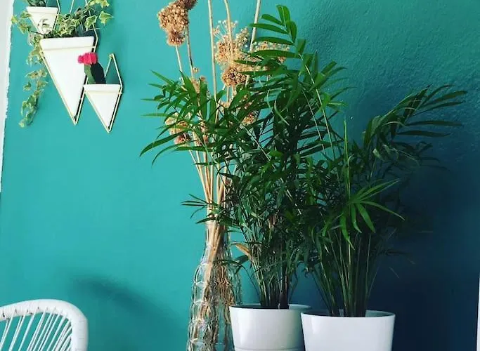 Babushka 奥林匹亚达